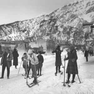 Meet your Posher, Bambi